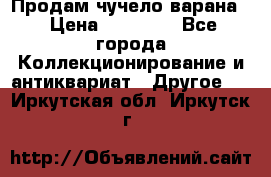 Продам чучело варана. › Цена ­ 15 000 - Все города Коллекционирование и антиквариат » Другое   . Иркутская обл.,Иркутск г.